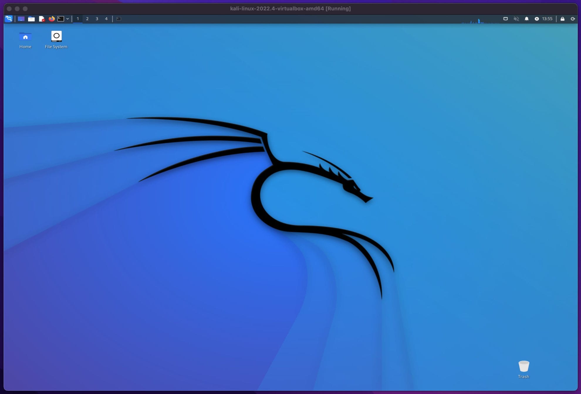 Desktop Kali Linux with autologin enabled